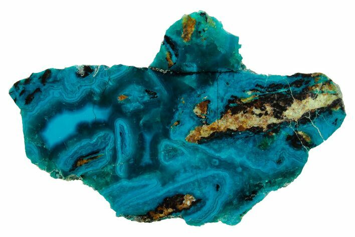 Polished Banded Chrysocolla Section - Bagdad Mine, Arizona #378913